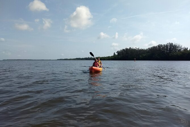Sunset kayaking tour at Manatee Cove with Manatee & Dolphin sightings - The island stop and shallow-water discoveries