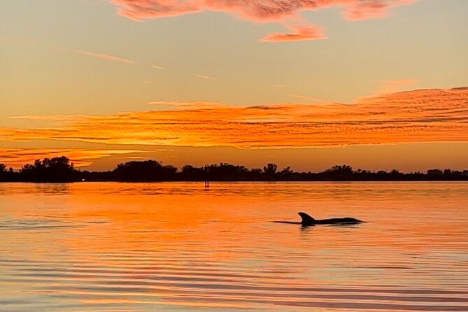 Sunset Kayaking with Dolphins - Why the dolphins are only part of the show