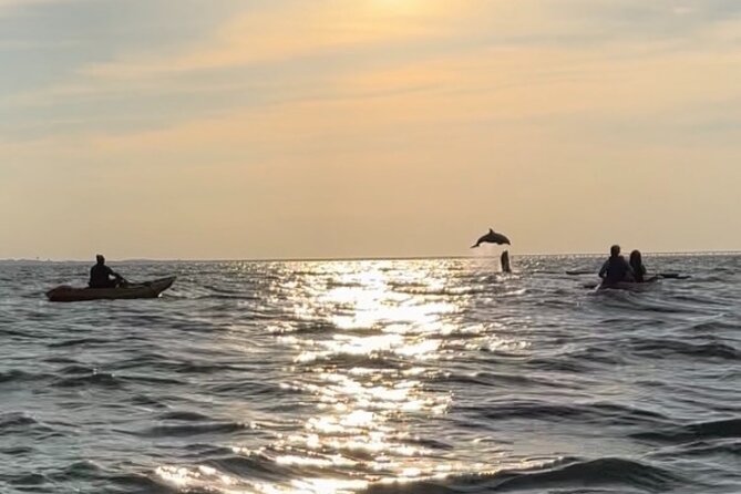 Sunset Kayaking with Dolphins - Is $60 a fair price?