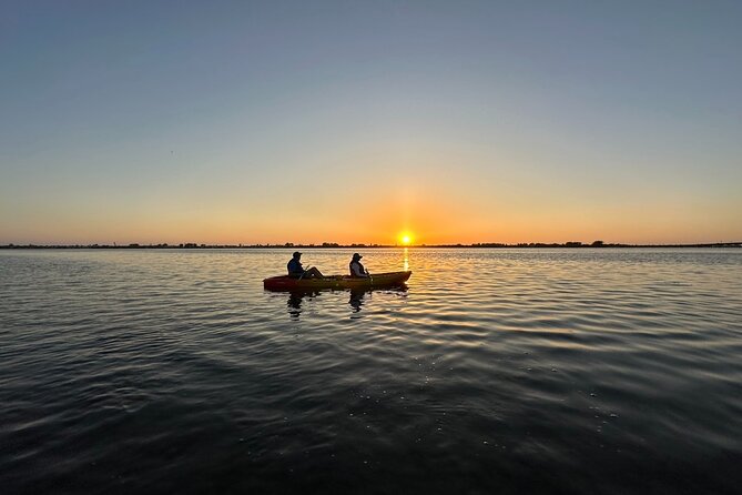 Sunset Kayaking with Dolphins - Who will enjoy this Sarasota kayak trip most?