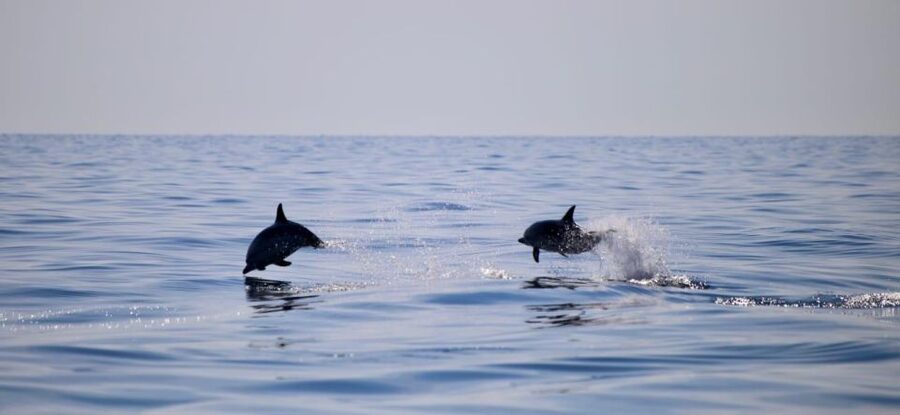 Sunset Tour and Searching Dolphins - What to pack for a comfortable ride
