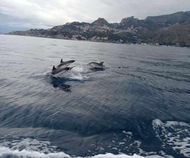 Sunset tour in search of dolphins with aperitif - Who should book it, and who should think twice