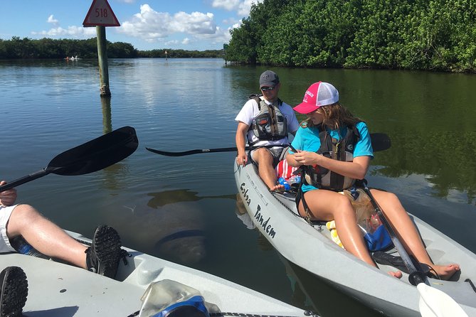 Sunset Tour Mangrove, Dolphins, Manatee #1 Rated in Cocoa Beach - The sunset payoff, with weather in mind