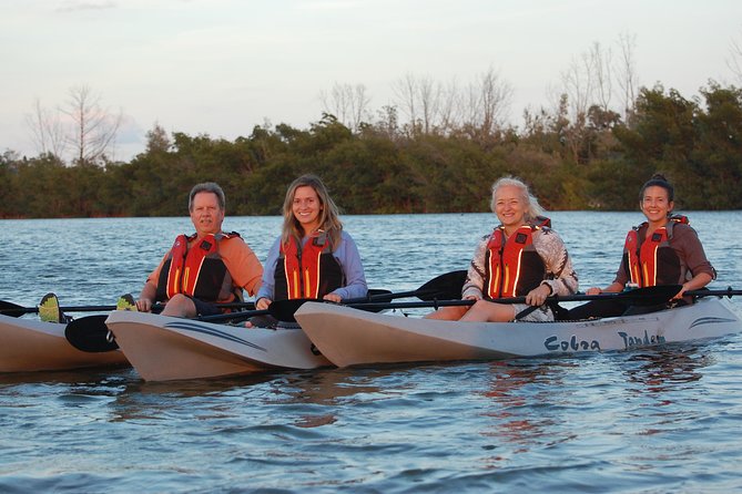 Sunset Tour Mangrove, Dolphins, Manatee #1 Rated in Cocoa Beach - Who will enjoy this most