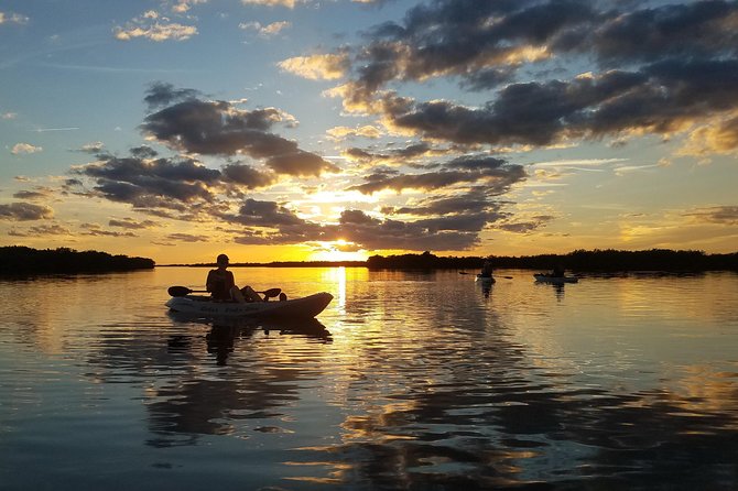 Sunset Tour Mangrove, Dolphins, Manatee #1 Rated in Cocoa Beach - Price, group size, and what you receive