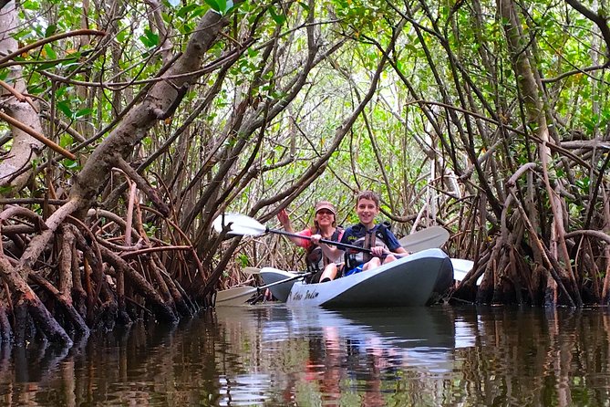 Sunset Tour Mangrove, Dolphins, Manatee #1 Rated in Cocoa Beach - Entering the mangrove passages
