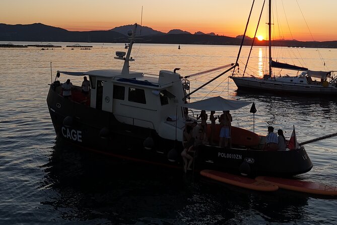 Sunset with dolphins on a vintage tugboat in Golfo Aranci - Key details to know before you book