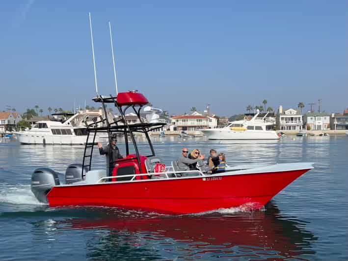 Superior 2hr Private Whale & Dolphin Watching Newport Beach - Timing, Clothing, and What to Bring