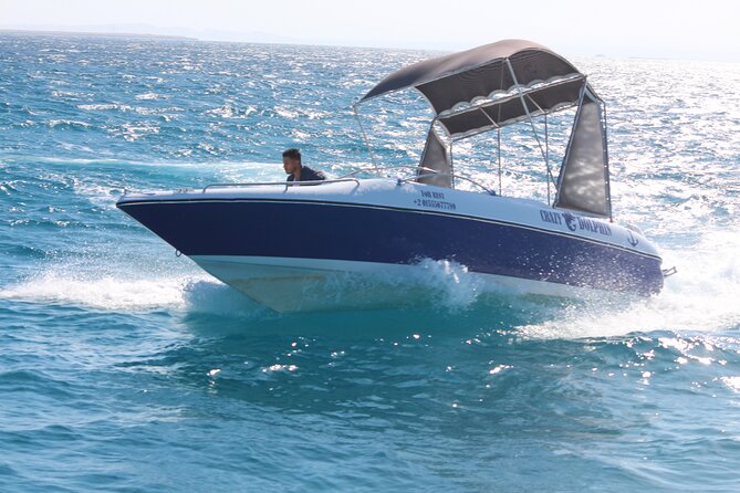 Swim with dolphin By Private Speed Boat and Sub wing Game - Hurghada - Reaching Dolphin House in the Red Sea