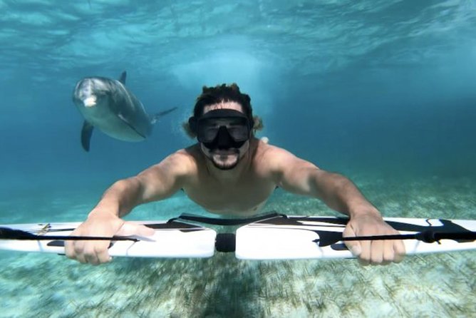 Swim with dolphin By Private Speed Boat and Sub wing Game - Hurghada - Snacks, drinks, and the practical details
