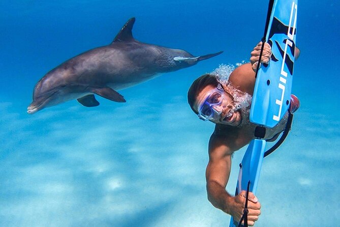 Swim with dolphin By Private Speed Boat and Sub wing Game - Hurghada - Who will enjoy this Hurghada trip most