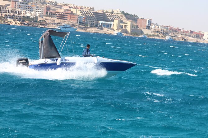 Swim with dolphin By Private Speed Boat and Sub wing Game - Hurghada - More than one snorkeling stop