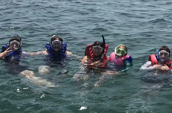 Swim with Dolphins And Snorkeling Group Tour - Shell Island brings the snorkeling into focus