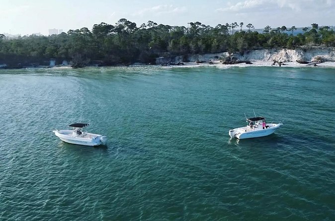 Swim with Dolphins And Snorkeling Group Tour - What the small boat changes