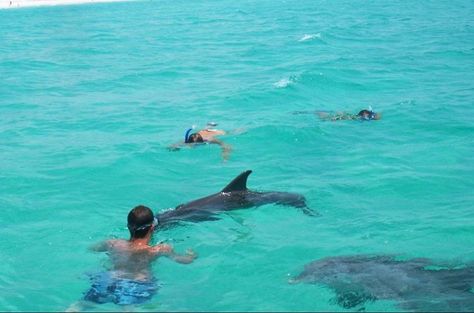 Swim with Dolphins And Snorkeling Group Tour - Masks, life jackets, water, and what to pack