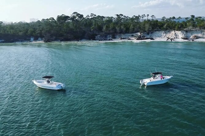 Swim with Dolphins And Snorkeling Group Tour - Finding dolphins in their natural home