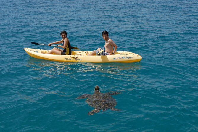 Swim with Dolphins Catamaran with Waterslide & Lunch on Oahu - Lunch, drinks, and the practical details