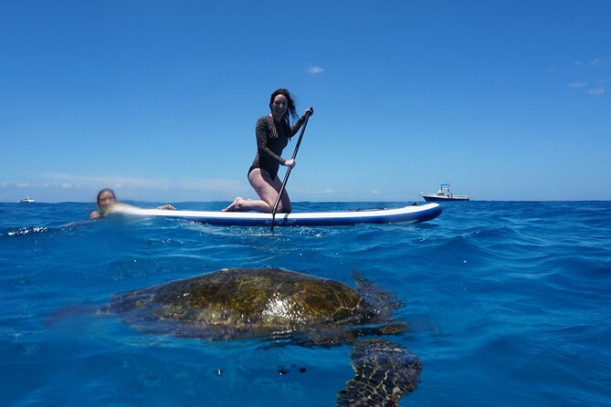 Swim with Dolphins Catamaran with Waterslide & Lunch on Oahu - What the crew adds to the day