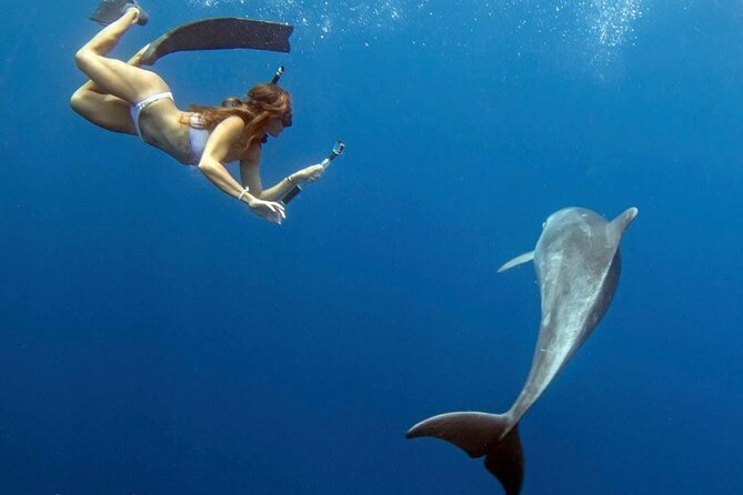 Swim with Dolphins Catamaran with Waterslide & Lunch on Oahu - Is $199 a fair price?