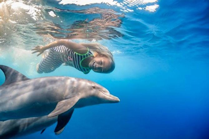 Swim with Dolphins Semi Private Speedboat Sea Tour - Hurghada - Speeding out from Hurghada at 8 am