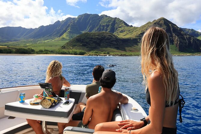 Swim With Dolphins & Turtles in West Oahu (Semi-Private Tours) - Snorkeling conditions can change from calm to rough