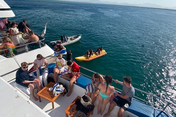 Swim with Dolphins VIP snorkeling Boat Trip with lunch - Hurghada - What the $15 Price Really Buys