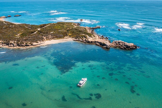Swim with Wild Dolphins Day Tour - Safety, cancellations, and useful planning details
