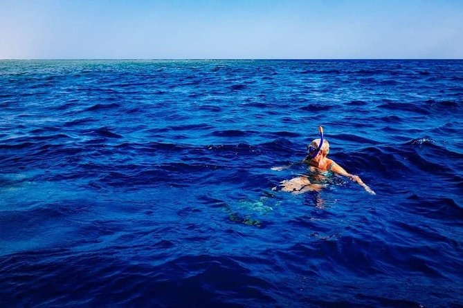 Swim with Wild Dolphins in the Azores - A fast boat ride along the São Miguel coast