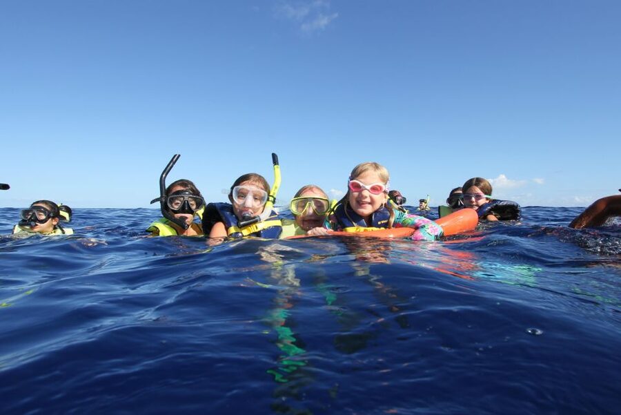 Swim with Wild Dolphins Oahu Speedboat Snorkeling Adventure! - Watching and swimming with wild dolphins