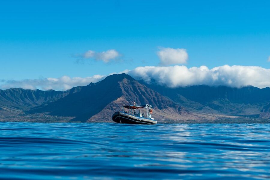 Swim with Wild Dolphins Oahu Speedboat Snorkeling Adventure! - Who should book this speedboat trip?