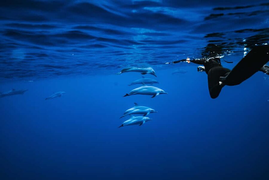Swim with Wild Dolphins Oahu Speedboat Snorkeling Adventure! - Setting out on the Dolphin Warrior