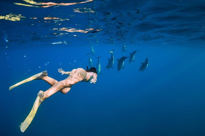 Swimming With Dolphin in Red Sea Adventure with Lunch - Hurgada - Safety, swimming ability, and family suitability