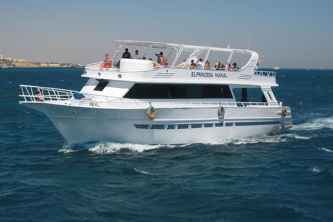 Swimming with Dolphin VIP Snorkeling Sea Trip With Lunch and Transfer - Hurghada - Two reef stops and the underwater scenery