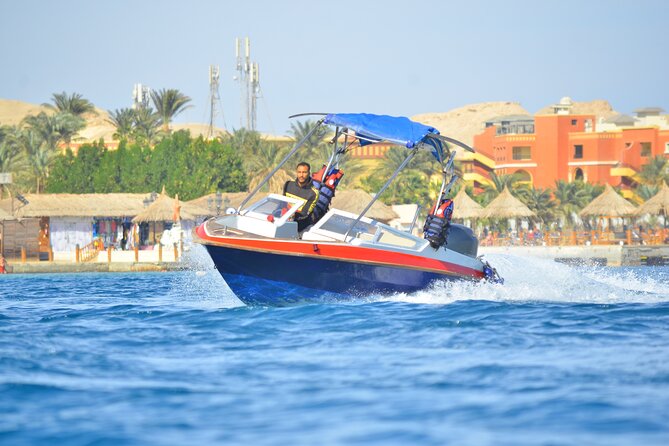 Swimming with Dolphins by Private Speed Boat - Hurghada - Looking for dolphins in the open Red Sea