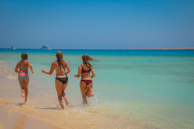 Swimming with Dolphins by Private Speed Boat - Hurghada - What the $65 price really covers