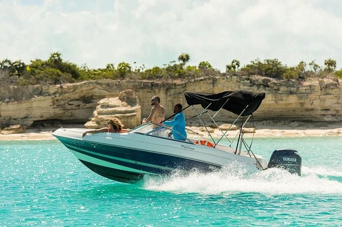 Swimming with Dolphins by Private Speed Boat - Hurghada - Who will enjoy this most