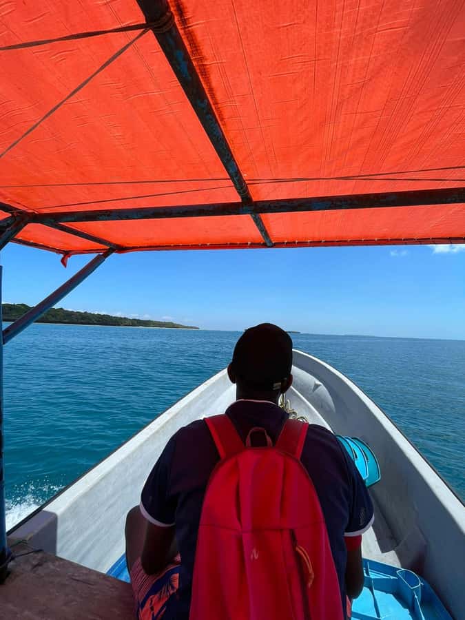 Swimming with dolphins in kizimkazi - Key points to know before you book