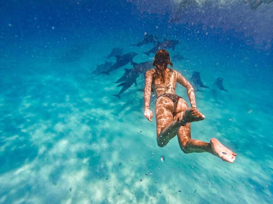 Swimming with dolphins in kizimkazi - Why Kizimkazi is the setting for this trip
