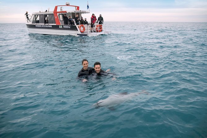 Swimming with Wild Dolphins in Akaroa - Getting ready at the Akaroa wharf
