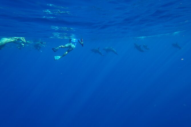 Swimming with Wild Dolphins Speedboat Adventure on Oahu - Lunch, drinks, and the west coast views
