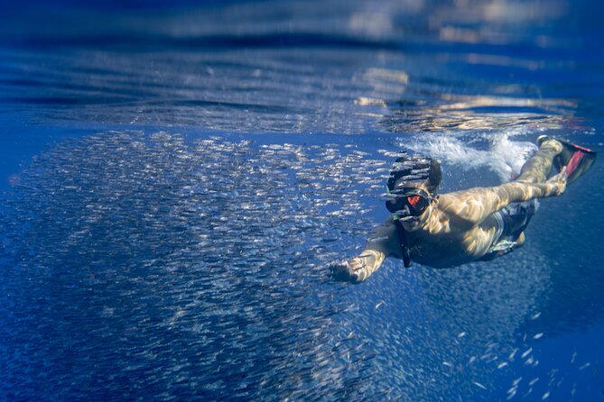 Swimming with Wild Dolphins Speedboat Adventure on Oahu - Who will enjoy this tour most?