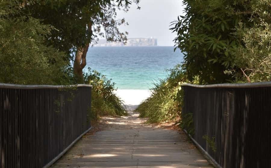 Sydney: Jervis Bay Day Trip with Dolphins, Roos & Beach Time - Who should book this day trip?