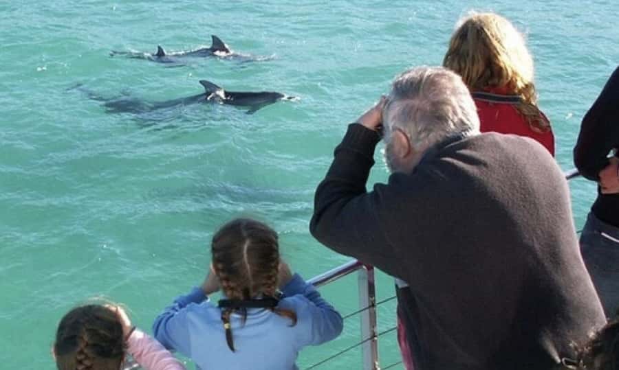 Sydney: Jervis Bay Day Trip with Dolphins, Roos & Beach Time - The early pickup near Central Station