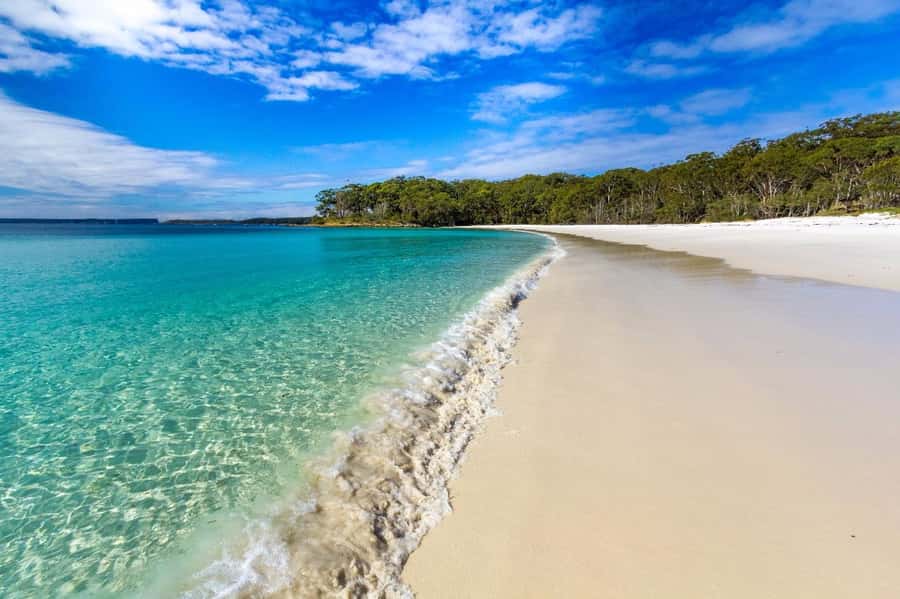 Sydney: Jervis Bay Day Trip with Dolphins, Roos & Beach Time - The guides make a real difference