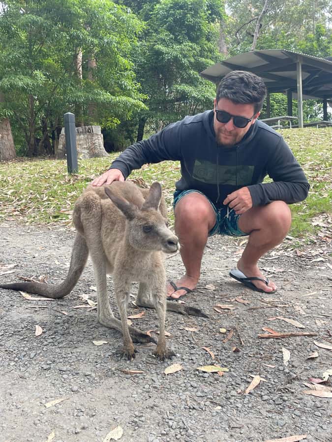 Sydney: Jervis Bay Day Trip with Dolphins, Roos & Beach Time - What $120 includes, and where the value sits