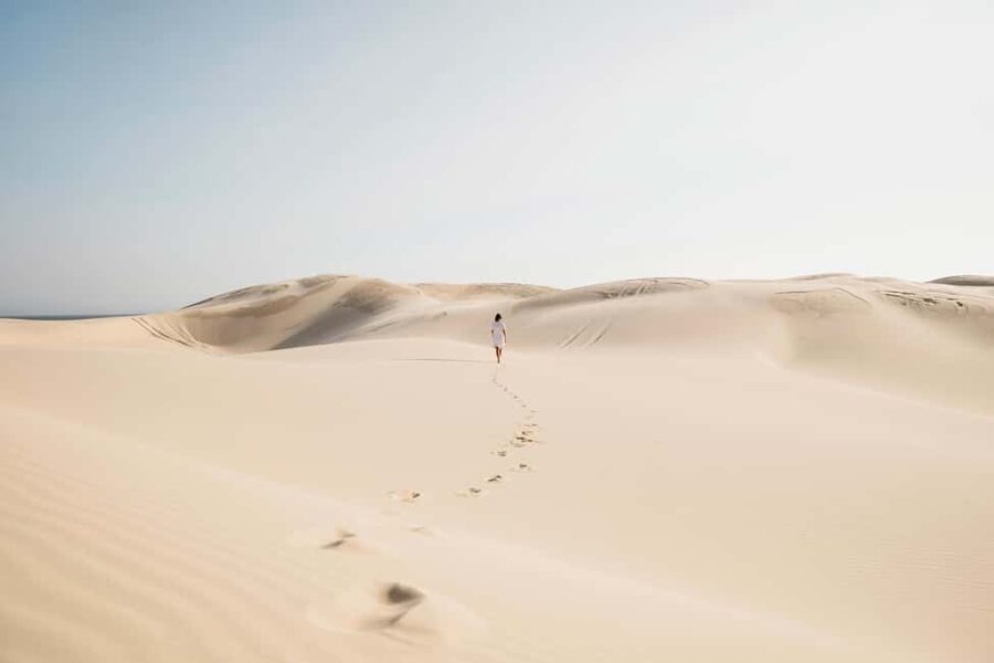Sydney: Port Stephens Dolphin Watching & Sand Dunes Day Tour - Key points at a glance