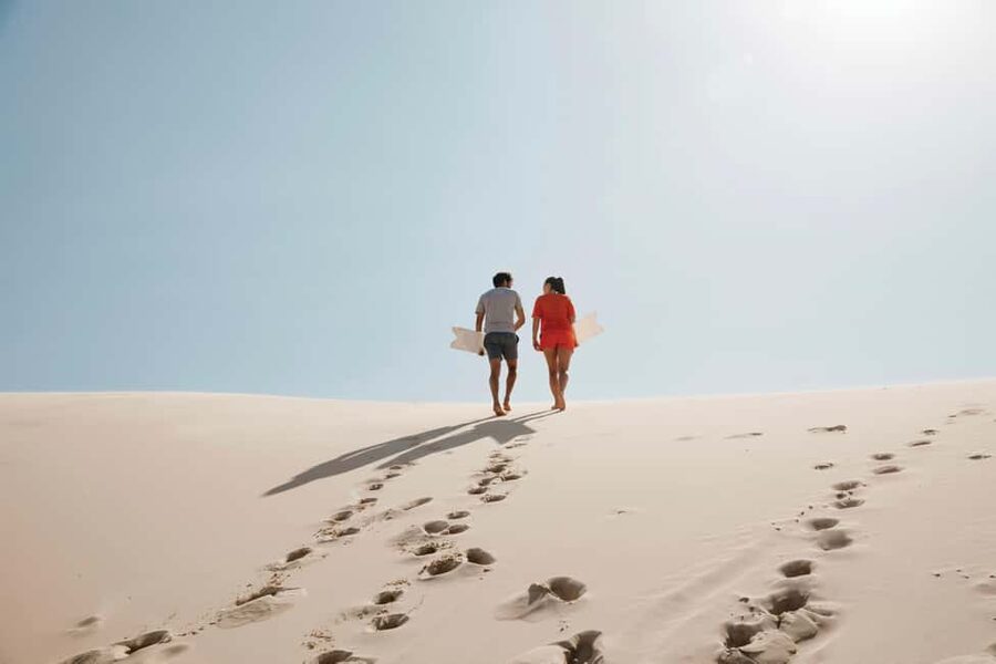 Sydney: Port Stephens Dolphin Watching & Sand Dunes Day Tour - Why this Port Stephens day trip works