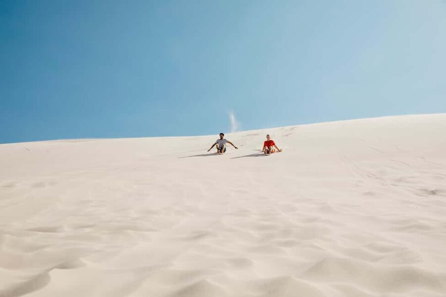 Sydney: Port Stephens Dolphin Watching & Sand Dunes Day Tour - What the $145 price really covers