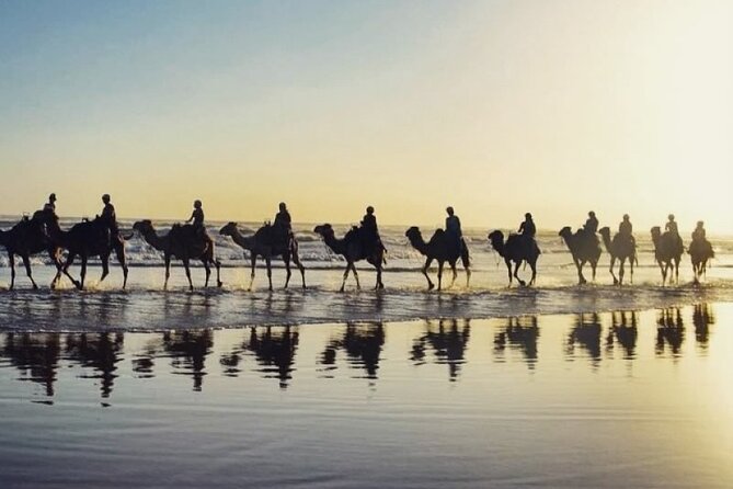 Sydney: Port Stephens Sandboarding, Dunes & Dolphin Cruise option - My call: book it for variety, skip it for slow travel