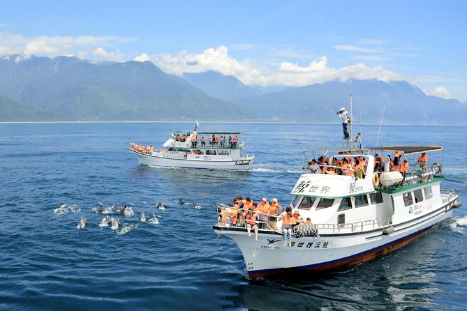 Taiwan Hualien Whale Watching Dolphin - Leaving Hualien Port for the Pacific